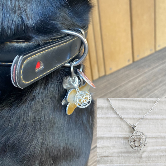 Pair with Pets: Soccer/Football Charm and Necklace (Large)