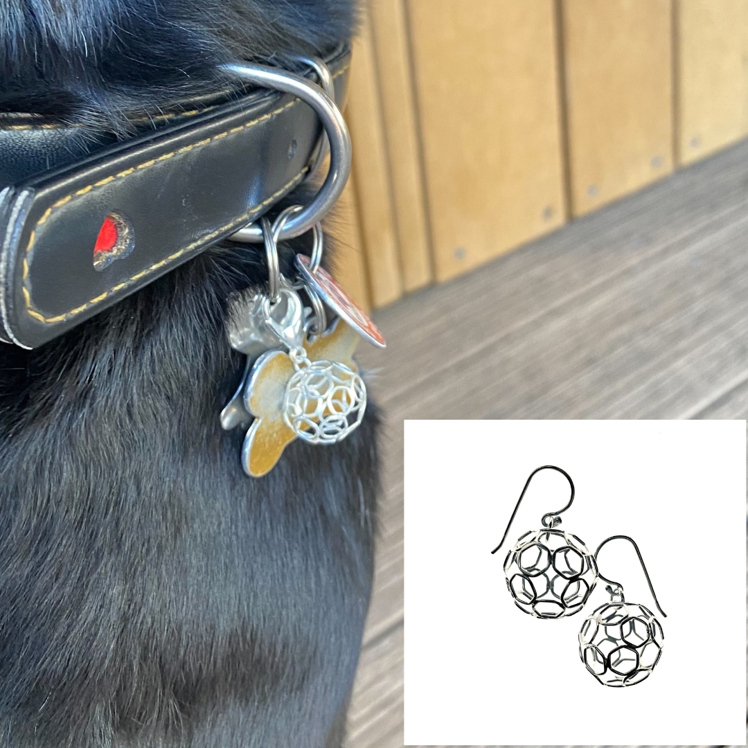 Pair with Pets: Soccer/Football Charm and Earrings (Large)