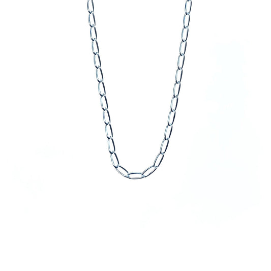 Long Curb Chain Necklace